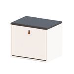 sapateira-puff-com-1-porta-articulada-56cm-multimoveis-cr35271-branco