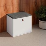 sapateira-puff-com-1-porta-articulada-56cm-multimoveis-cr35271-branco