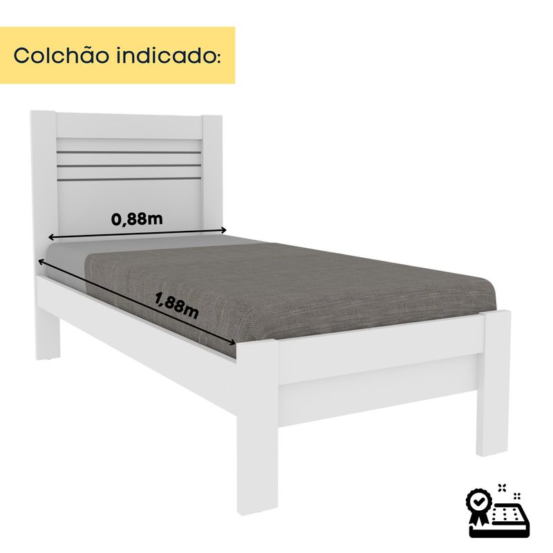 conteudo1