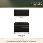 conteudo2