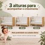 conteudo1