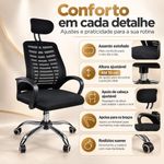 conteudo1
